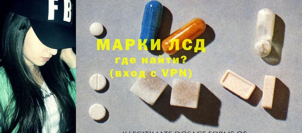 индика Арсеньев