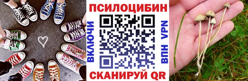 Галлюциногенные грибы GOLDEN TEACHER  Сухиничи 
