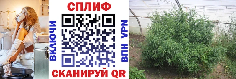 Бошки Шишки индика  купить  цена  Сухиничи 
